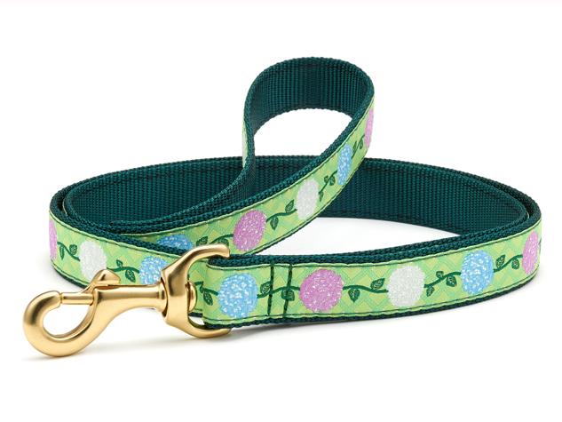 Designer dog online collars leashes